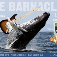 barnacles-kadan-dec20