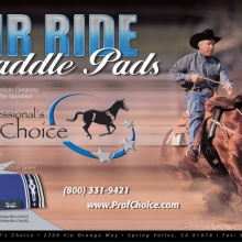 airride_10x16poster