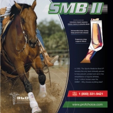 smb_doubletruck