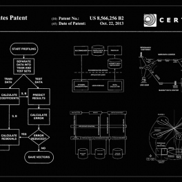 Certona Patent Infographic