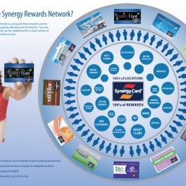 Synergy Program Infographic