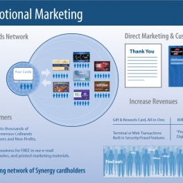 Synergy Program Infographic