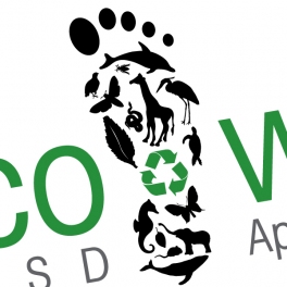 EcoWalk 2008 Close-up