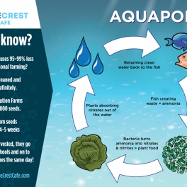 Infographic - Aquaponics