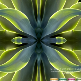 Vidatea Agave Ad